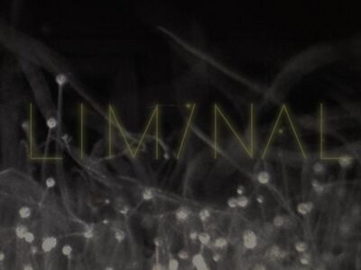 Sigur Rós: Liminal 2 – ambient mixtape