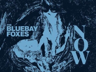 Bluebay Foxes: Now